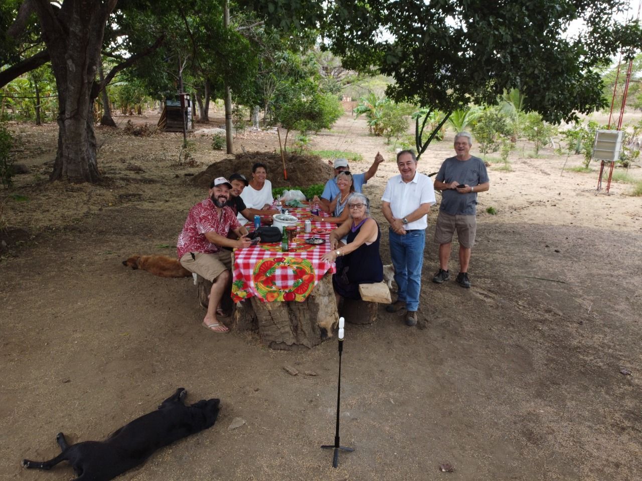 People at a picnic table outdoors, under a tree. Dog lying on the ground.