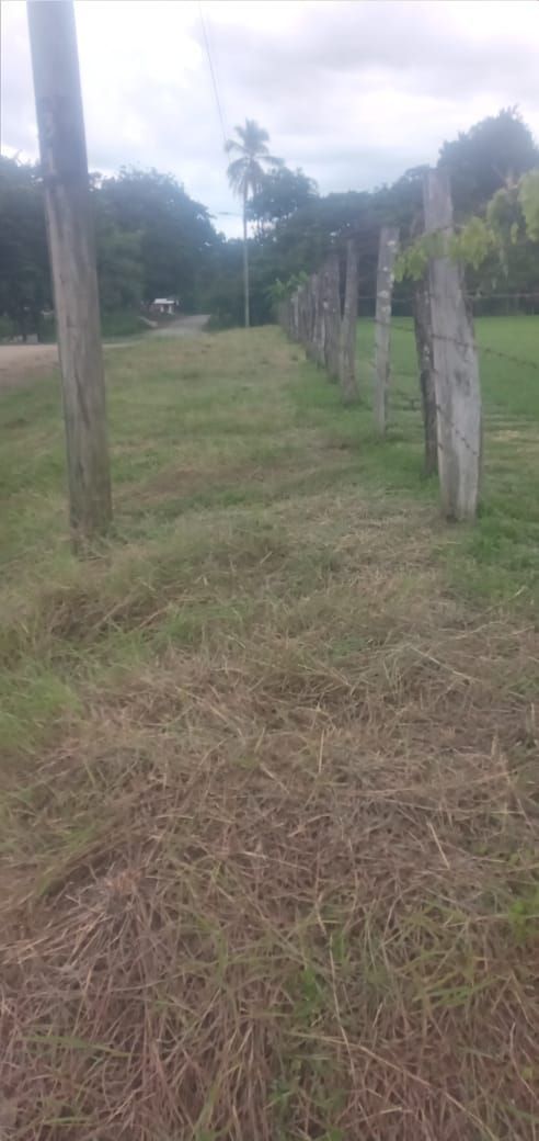 Fence posts line a grassy path leading to distant trees under a cloudy sky.