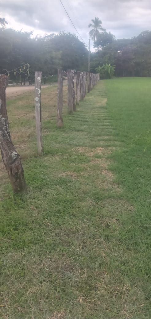 A wooden fence lines a grassy field, under an overcast sky.