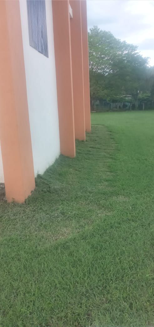 Side of a building with orange pillars, next to a grassy field.