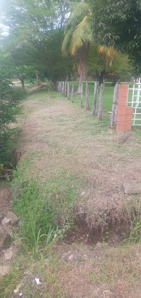 A grassy path bordered by a fence and vegetation, leading toward a blurred background. Overcast, dull lighting.
