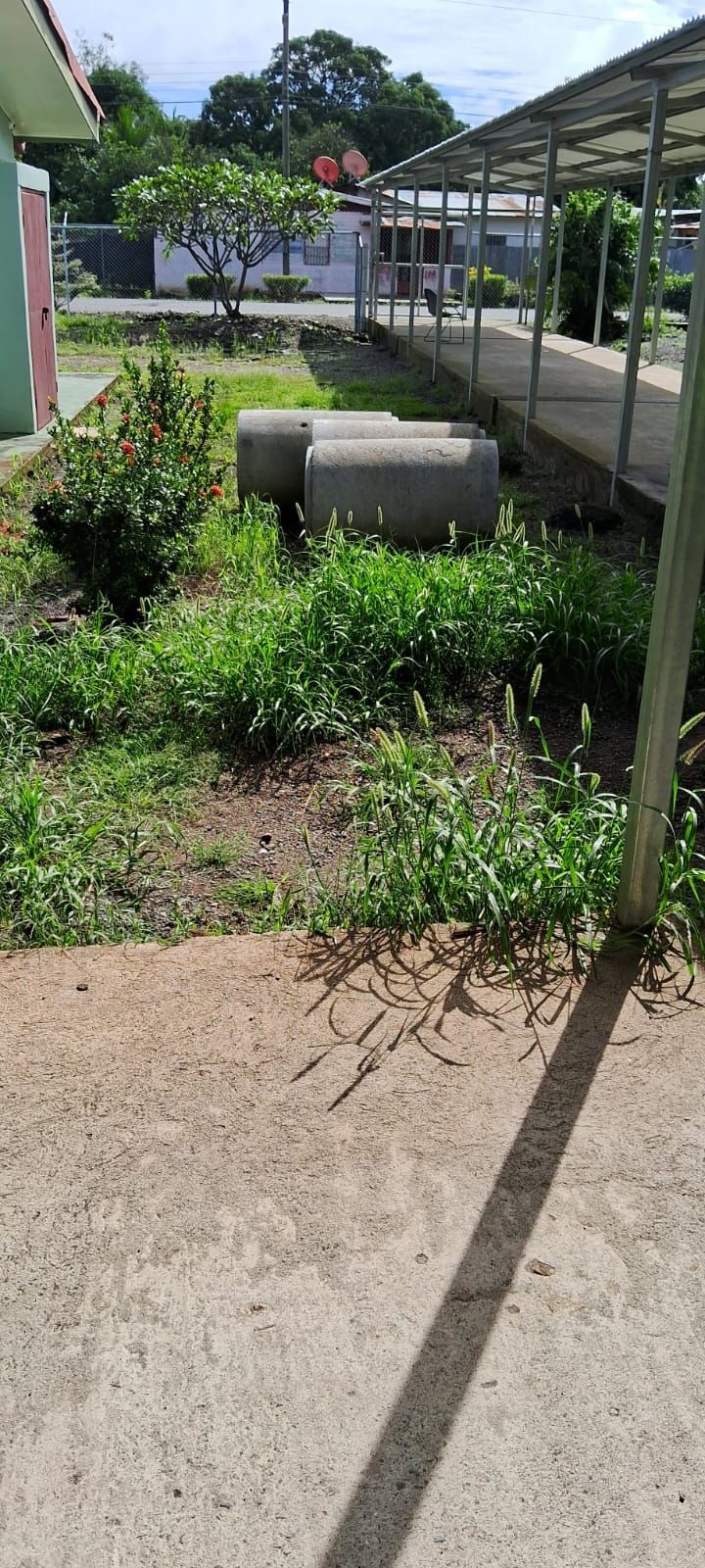 Grassy garden with concrete cylinders, near a walkway under a covered structure, and a building.