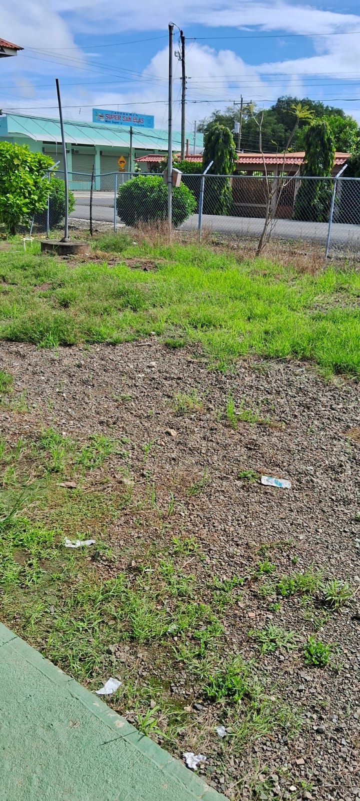 Overgrown grassy area with a chain link fence, poles, and a building in the background. Bright sky.