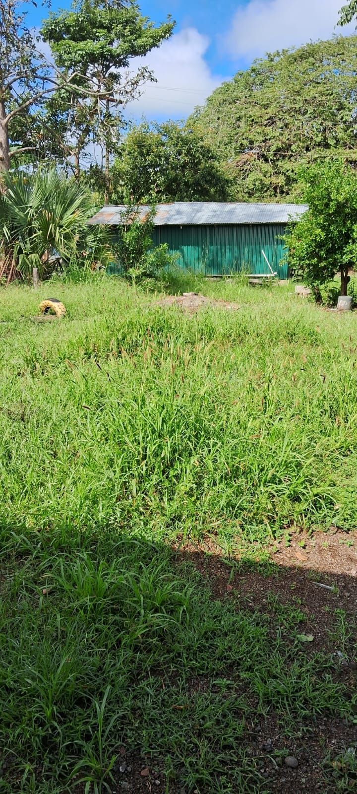 Green field with tall grass, building with green facade and a partly cloudy sky.