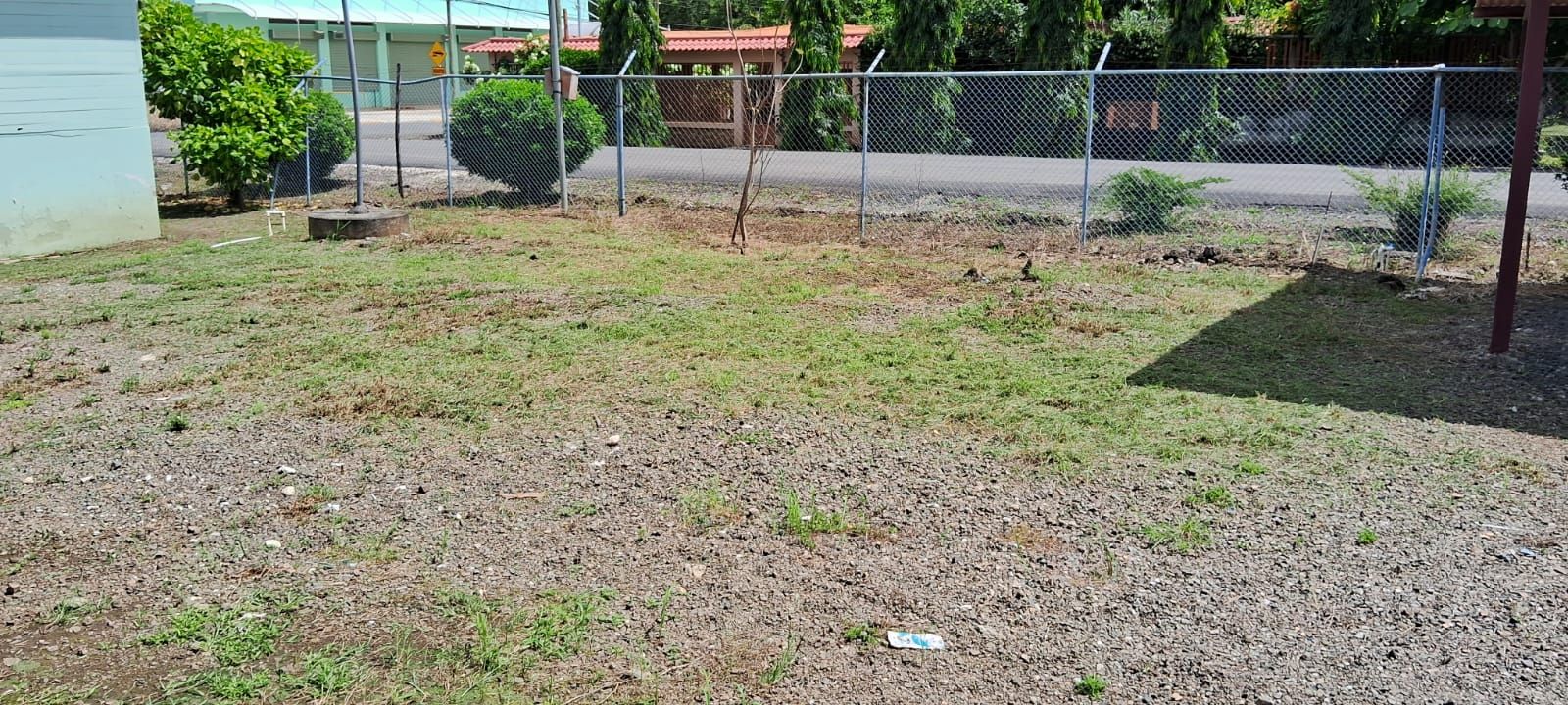 A patch of grass with a chain link fence in the background and a building to the left.