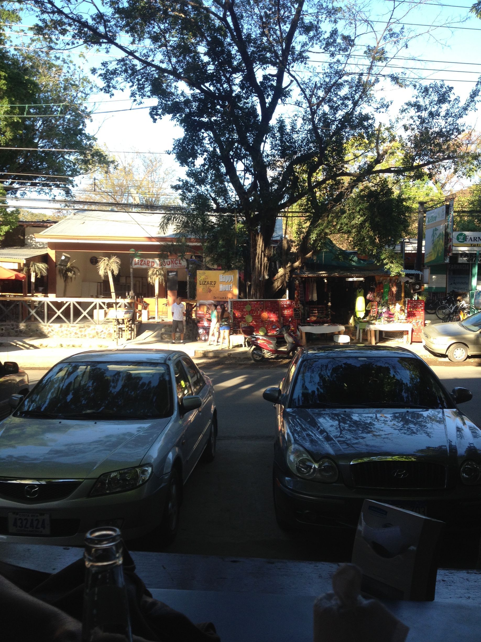Cars parked on a street near shops and a large tree.