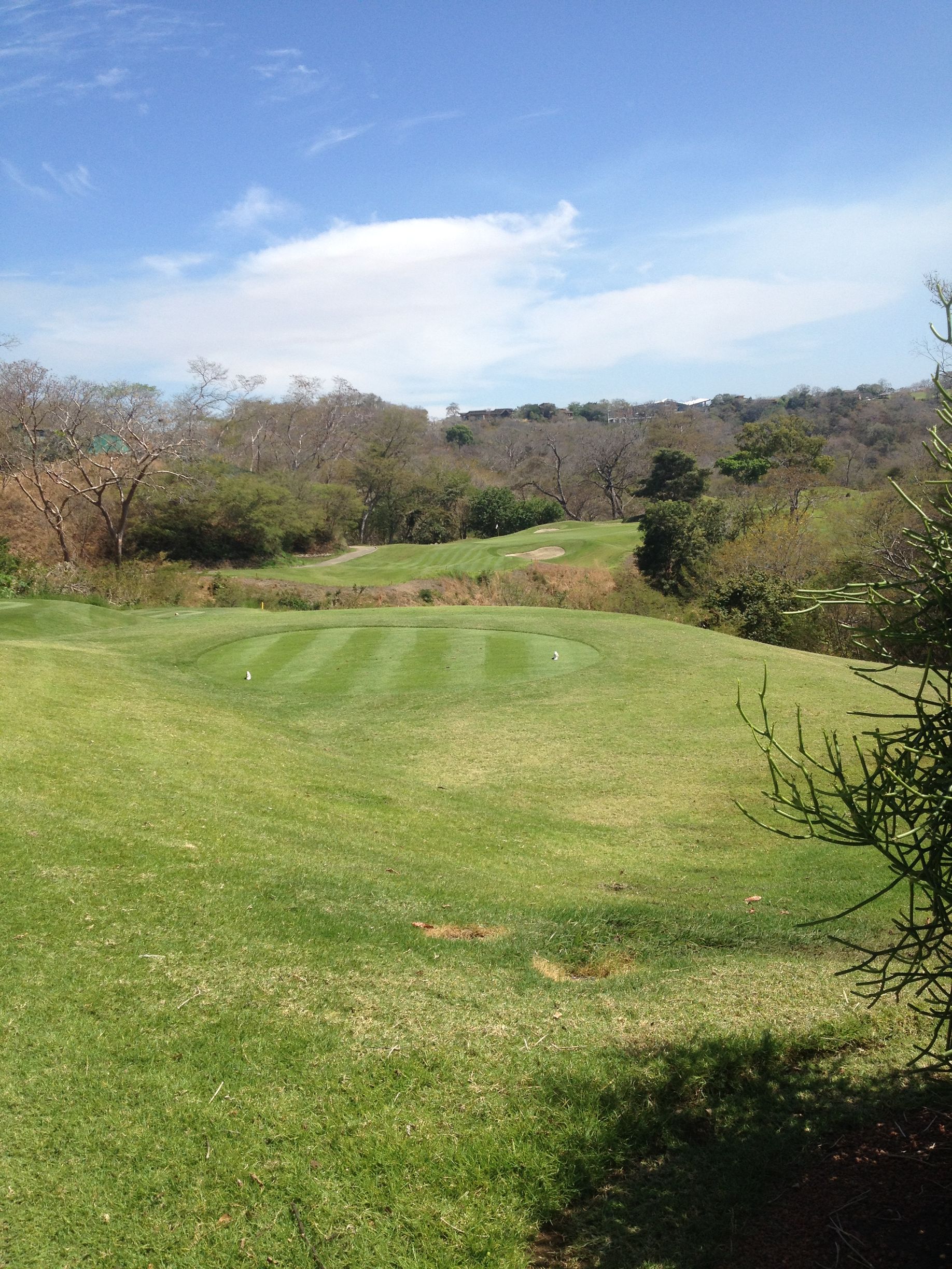 Golf course green with mowed stripes, trees, and a blue sky with clouds.