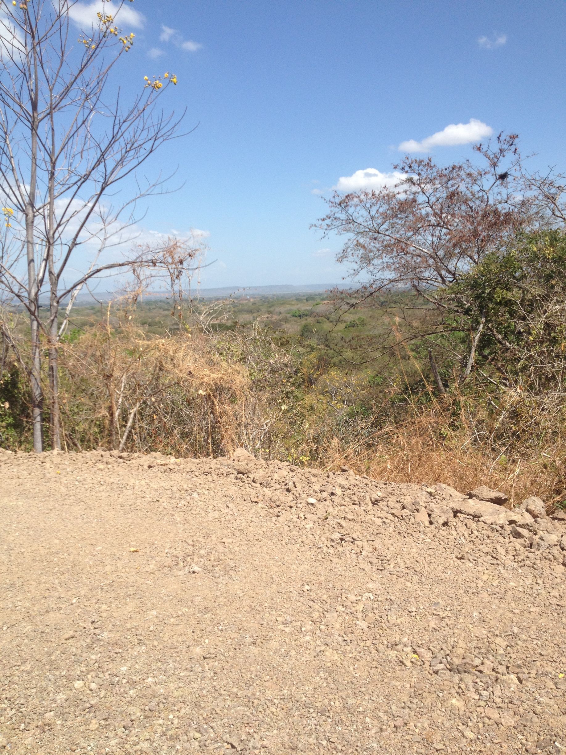 A dry landscape with sparse trees under a blue sky. Gravel foreground, view of distant greenery.