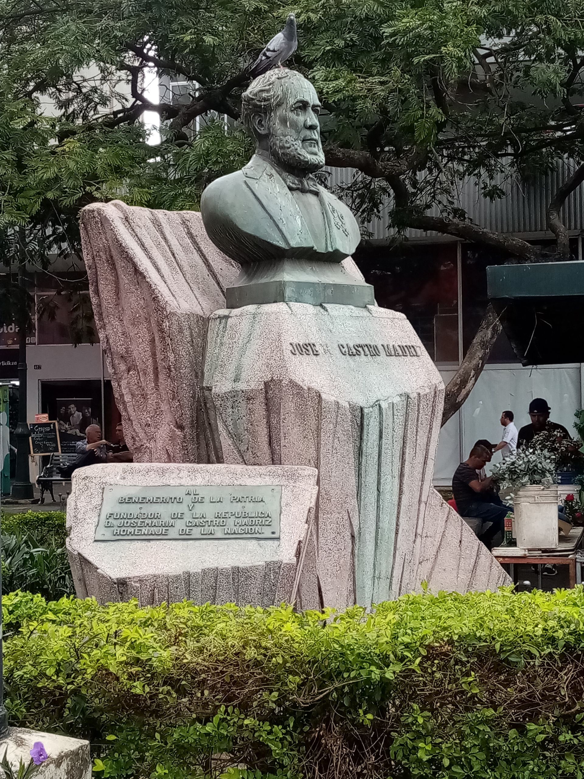 Bust of a man on a stone pedestal in a park, with a plaque below. A pigeon sits on the bust.