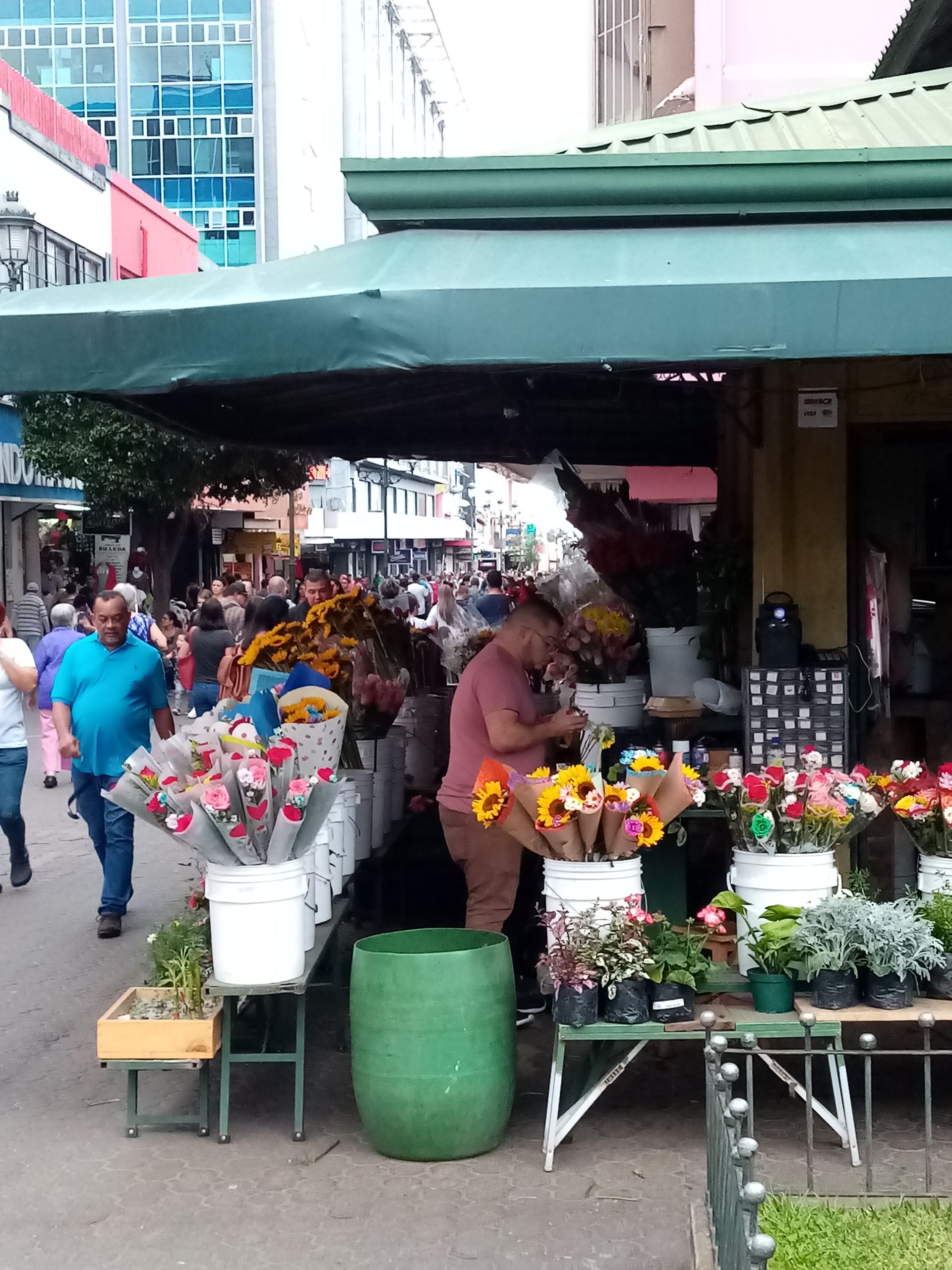 Flower stand on a crowded street; man arranging blooms. Brightly colored flowers, green awning, and buildings.