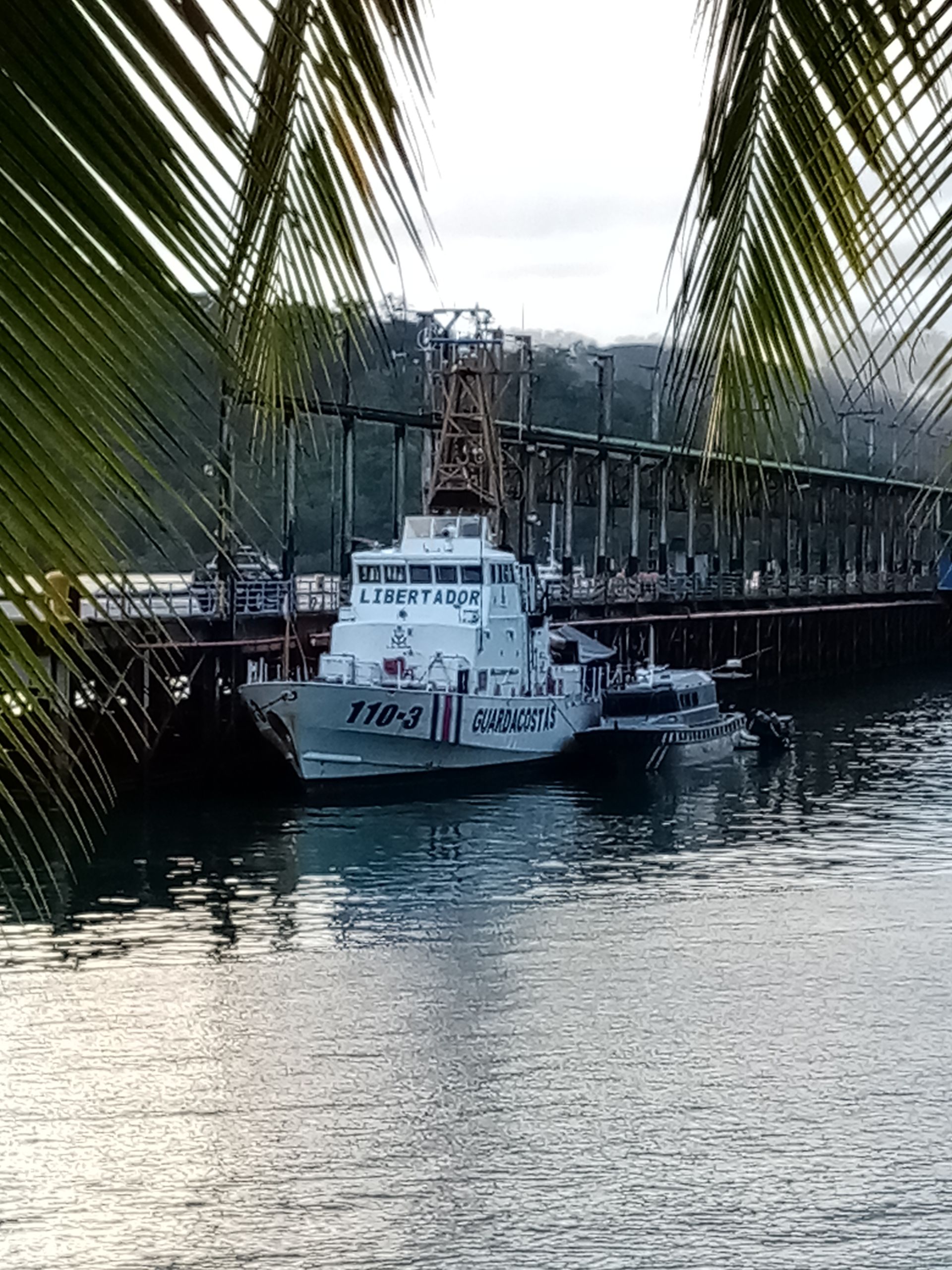 White and gray boats docked at a pier, framed by palm fronds. Bridge in background, overcast sky.