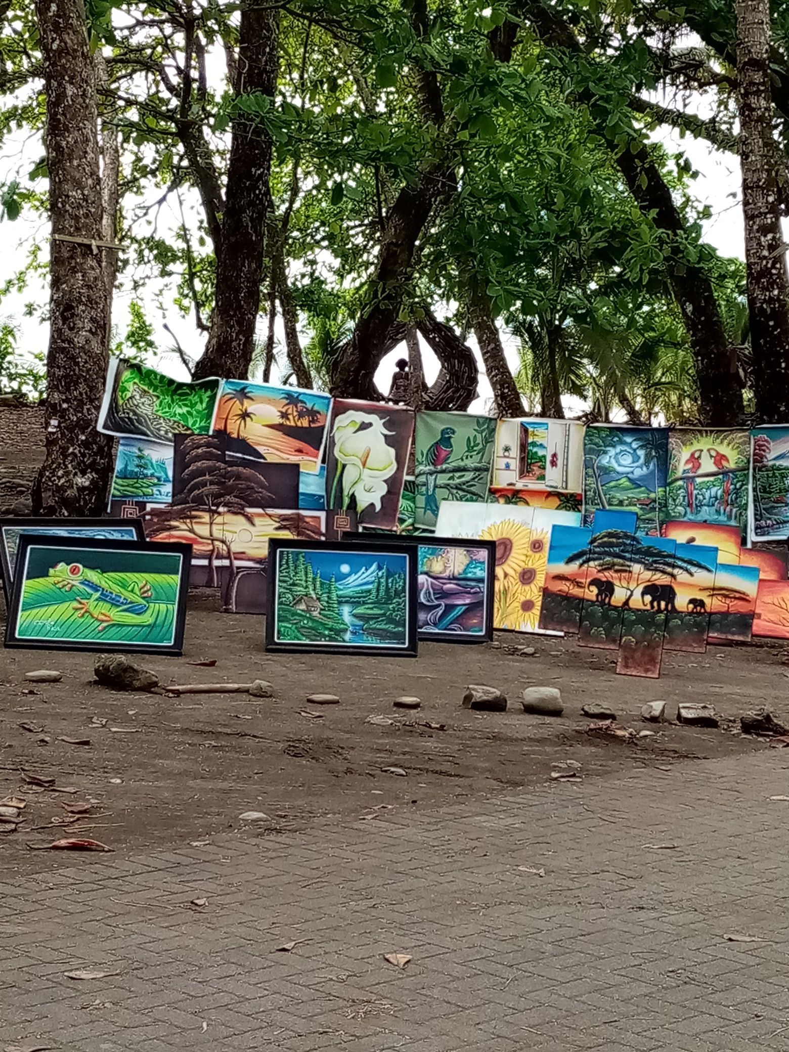 Paintings displayed outdoors, leaning on a wall; trees in background.