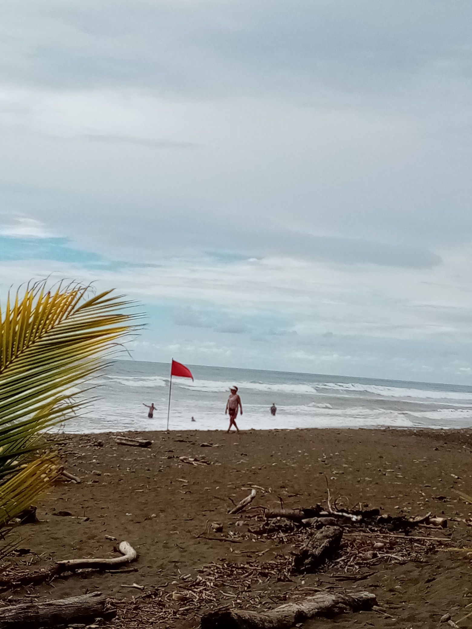Beach scene: Person walks toward the ocean with a red flag, cloudy sky, and palm tree leaves.