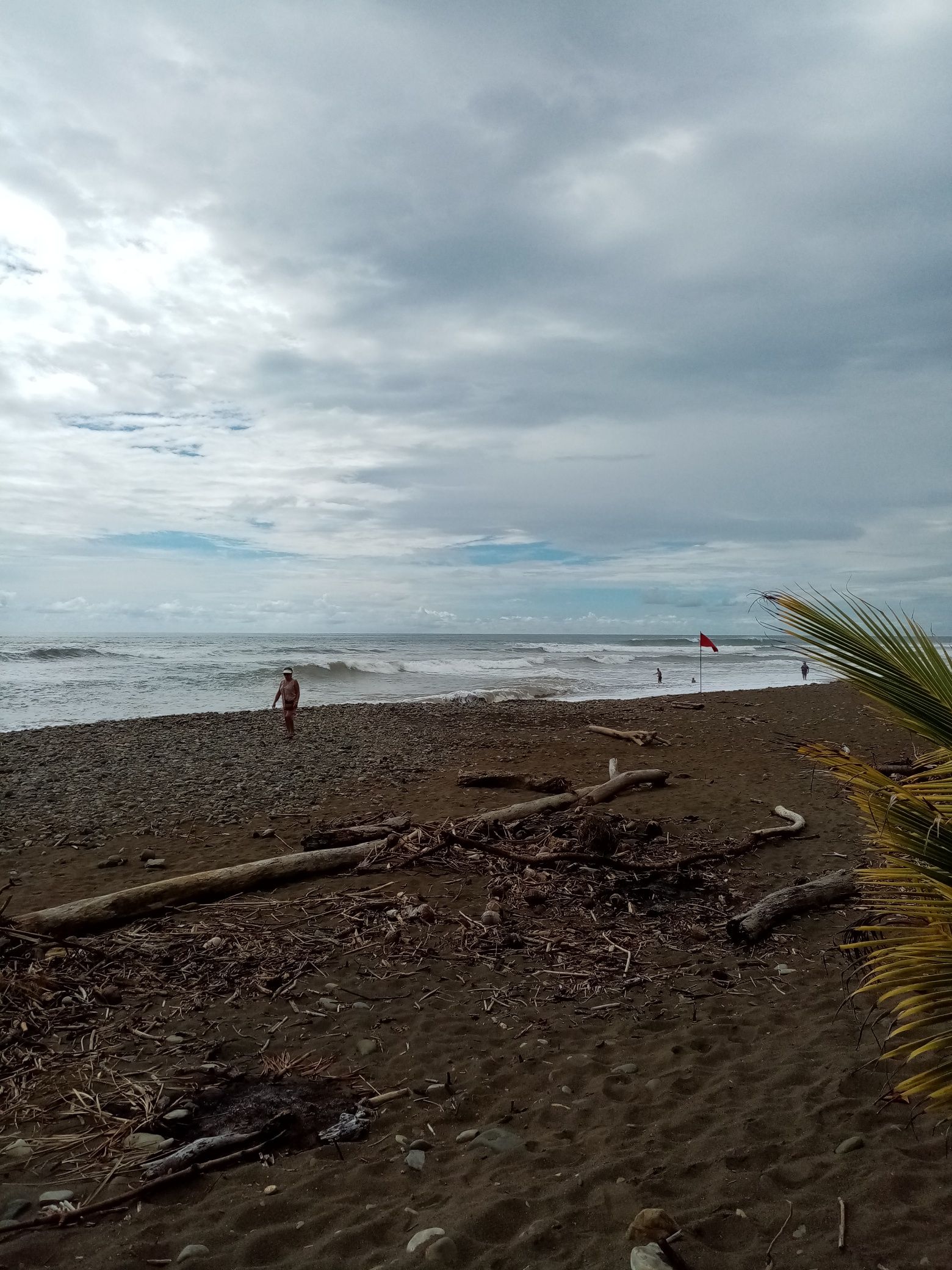 Beach with dark sand, driftwood, and foamy waves under a cloudy sky.