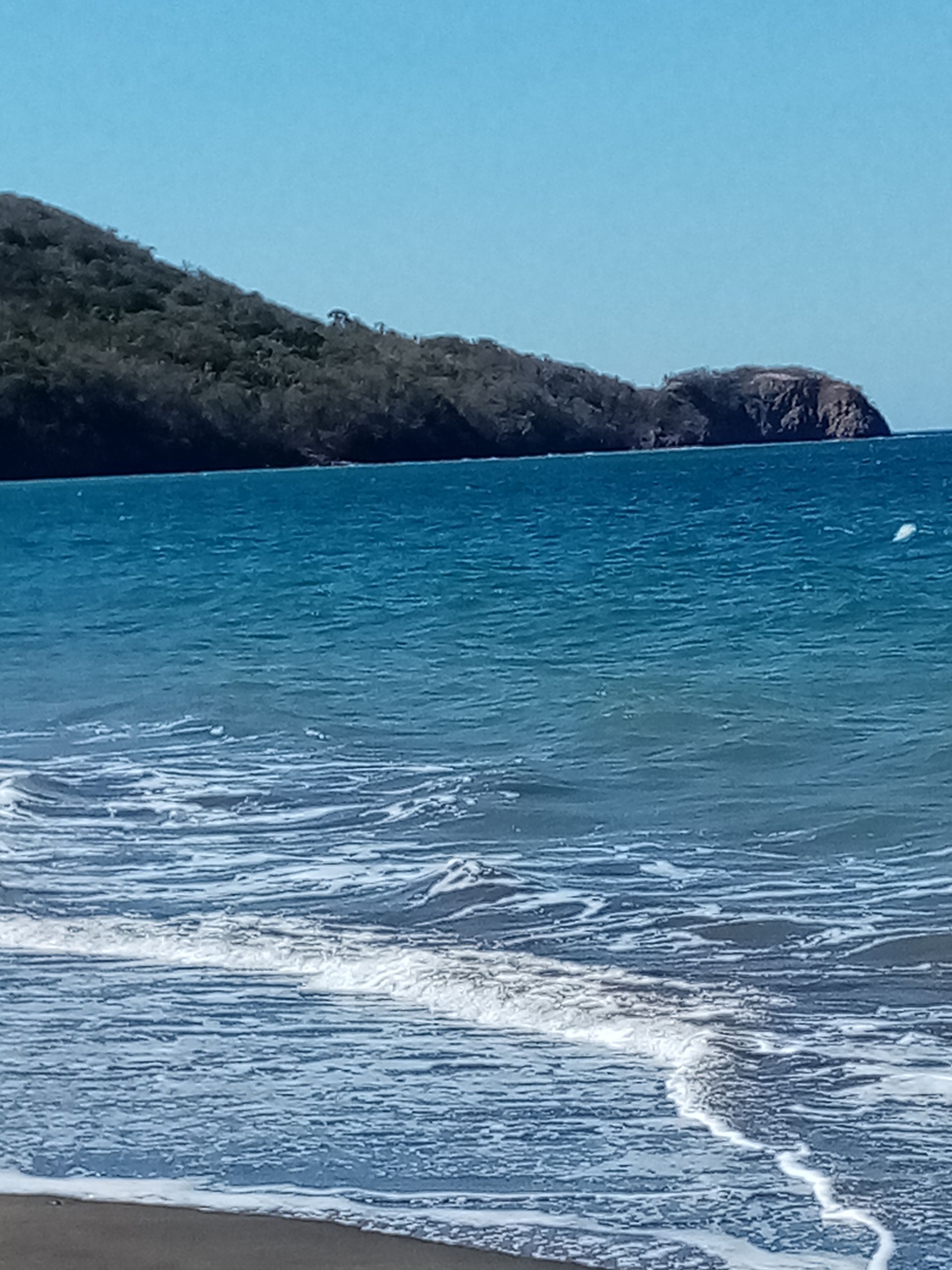 Blue ocean waves washing onto a sandy beach with a forested hill and rocky headland in the background.