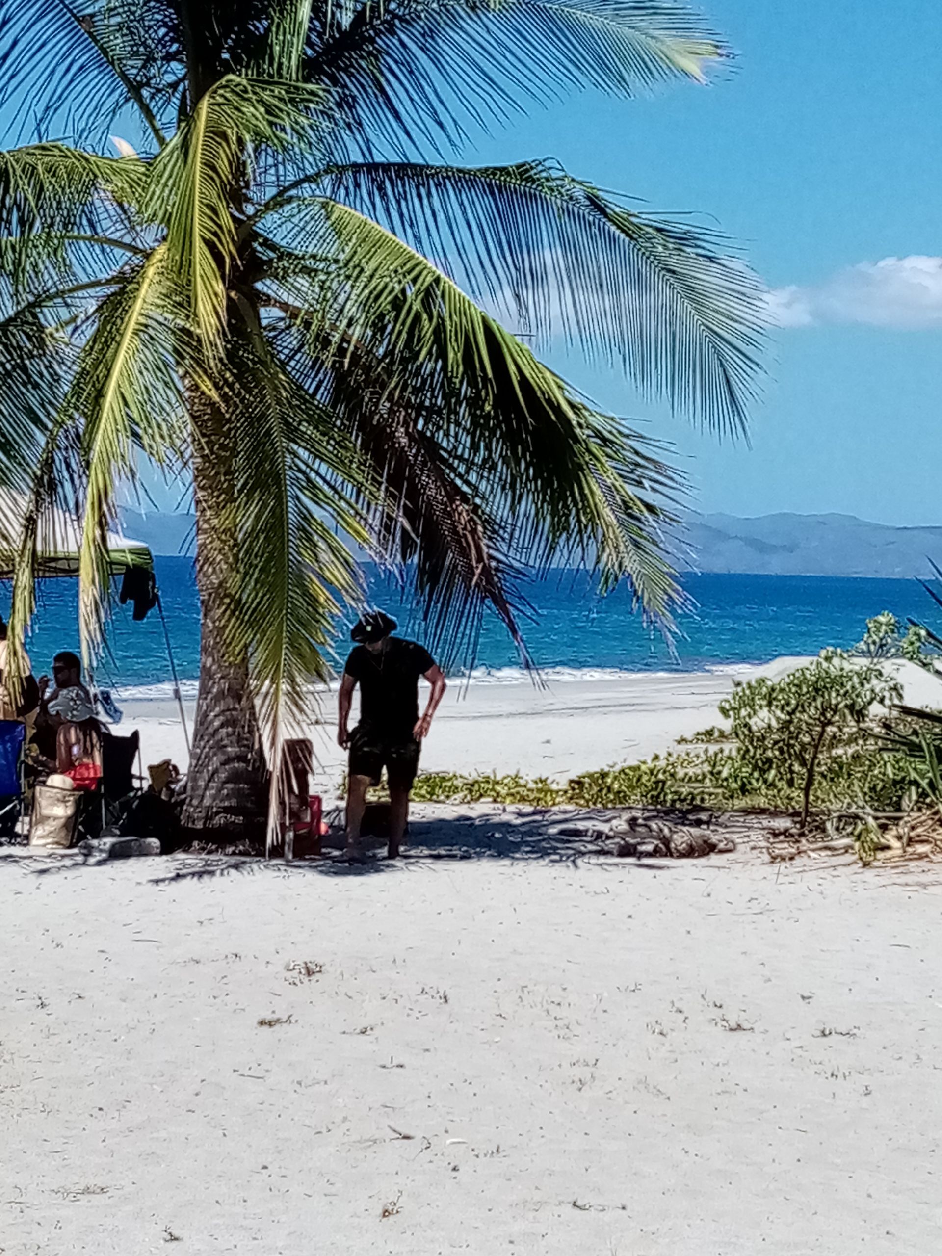 Beach scene with palm tree and people, man walking towards ocean. Blue sky, white sand.