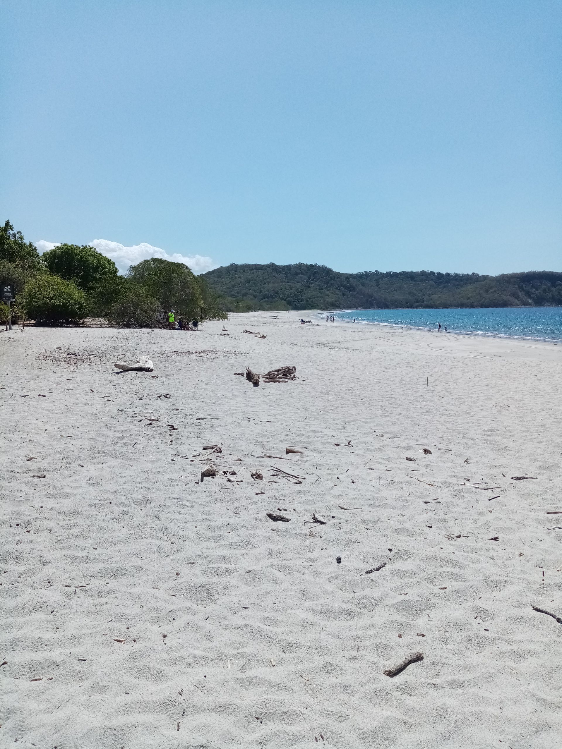 White sand beach under a bright blue sky, with trees along the shoreline and calm blue water in the background.