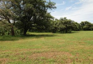 Lot Area