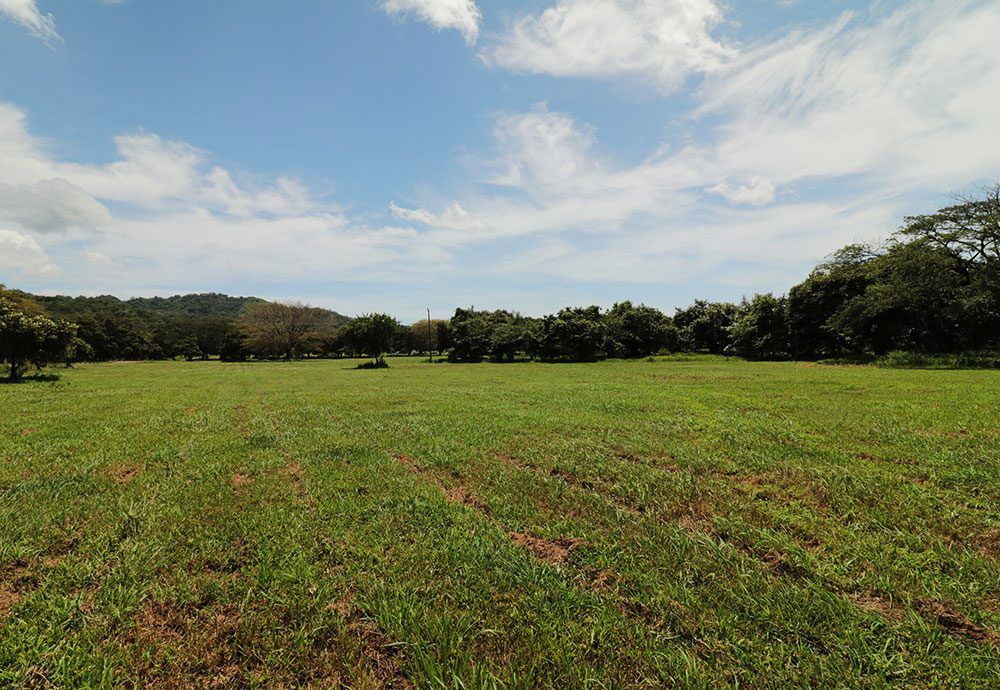 Green field under a blue sky with scattered clouds. Trees line the horizon.