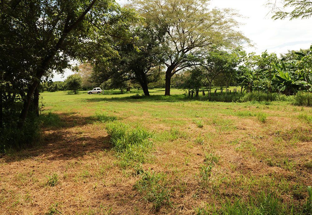 Grassy field with scattered trees under a partly cloudy sky; a white vehicle is in the distance.
