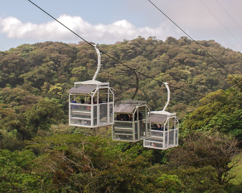 Cable cars suspended above lush green forest.