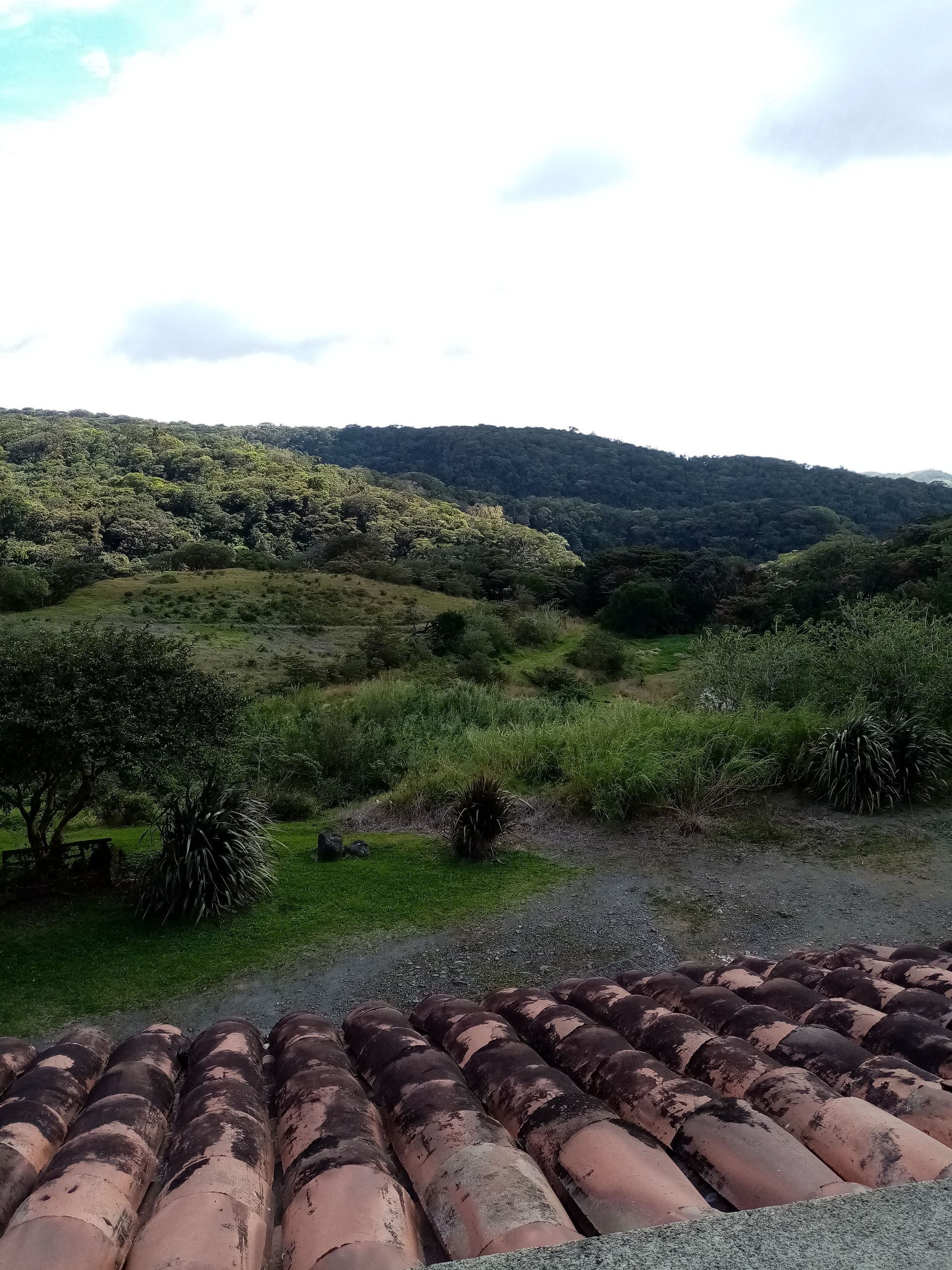 Overlooking a green hillside, with a terracotta-tiled rooftop in the foreground, under a bright sky.