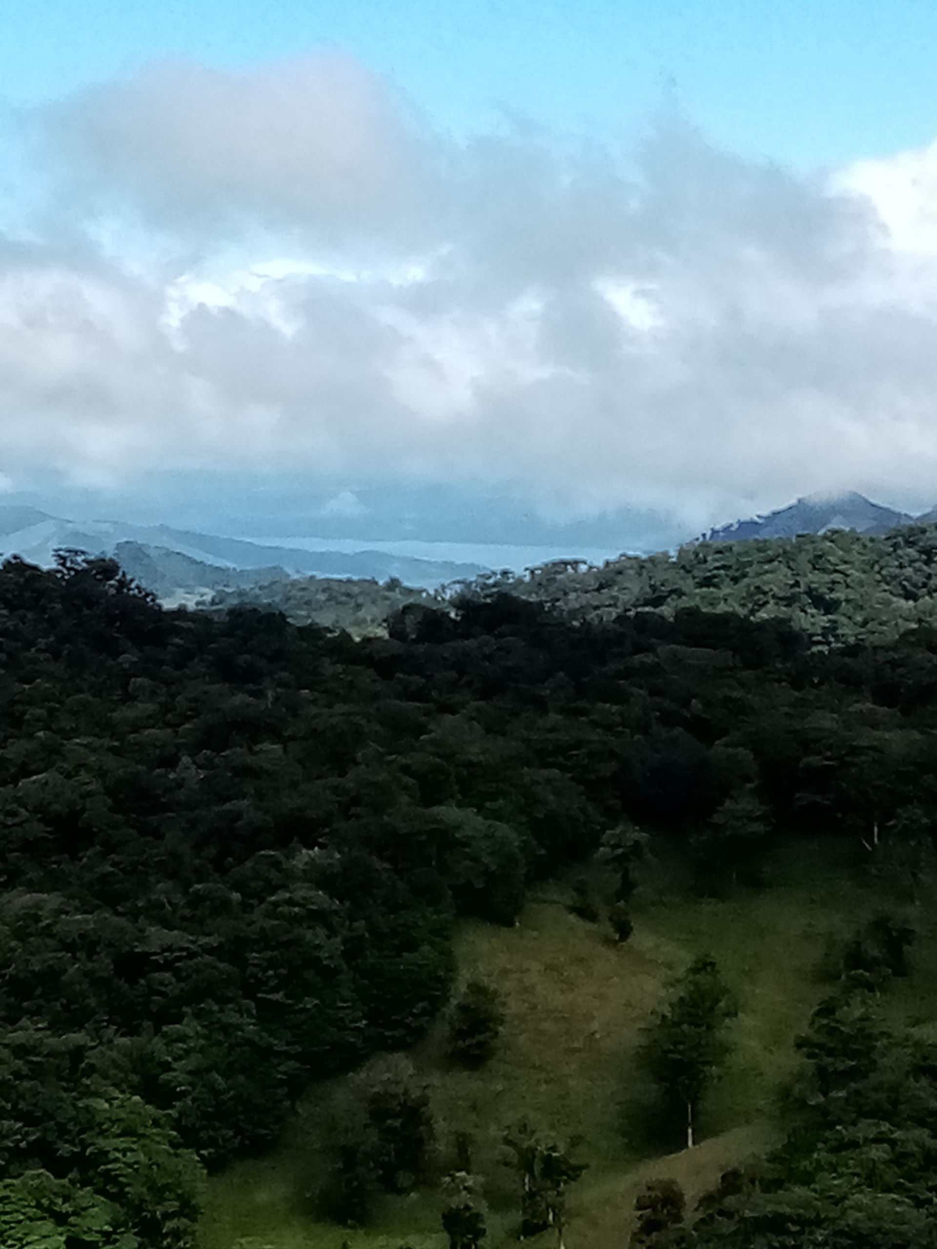 Forested mountain landscape with a cloudy sky and hints of a distant lake.