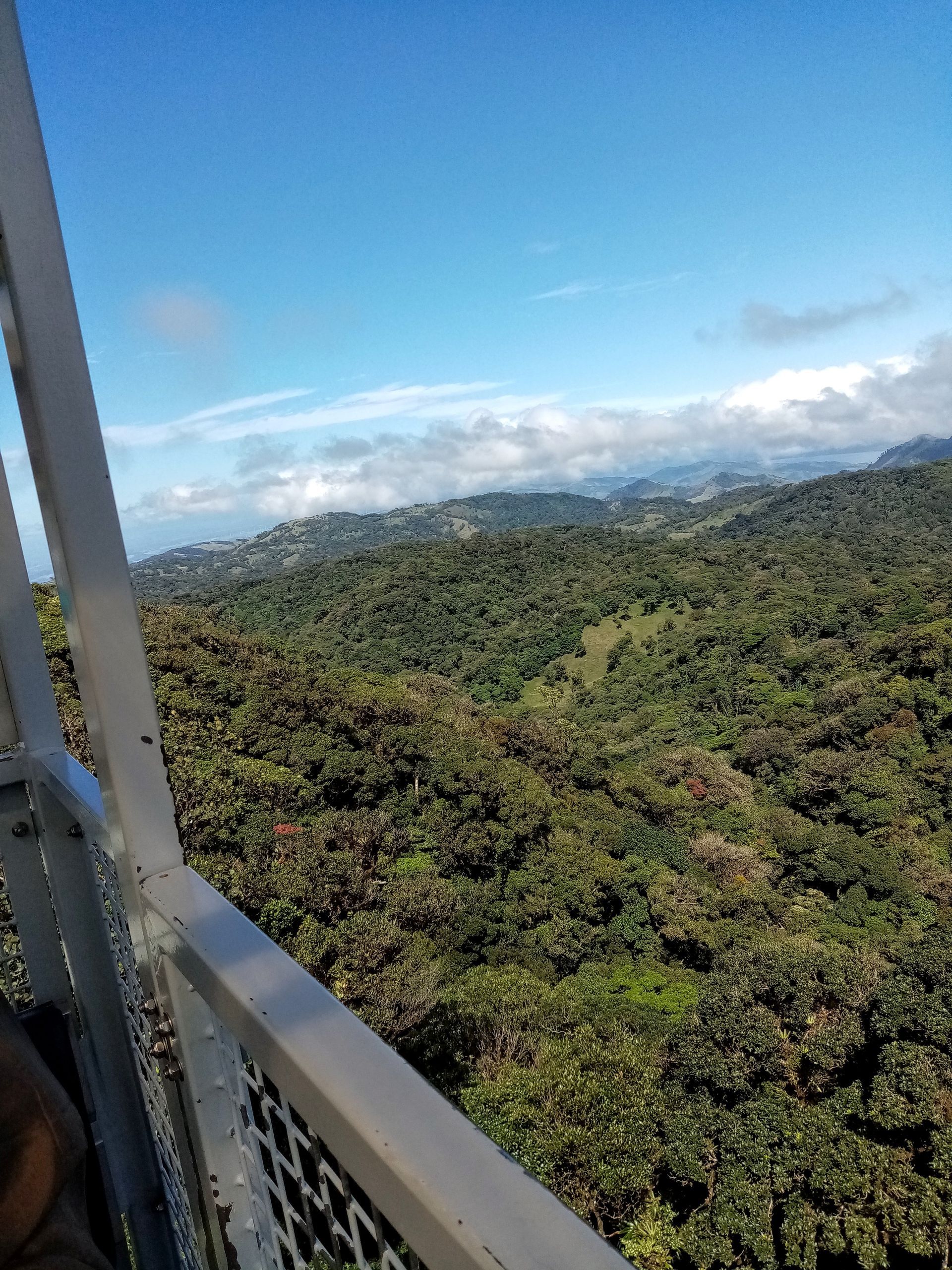 View from a tower overlooking a lush green forest under a blue sky with some clouds.