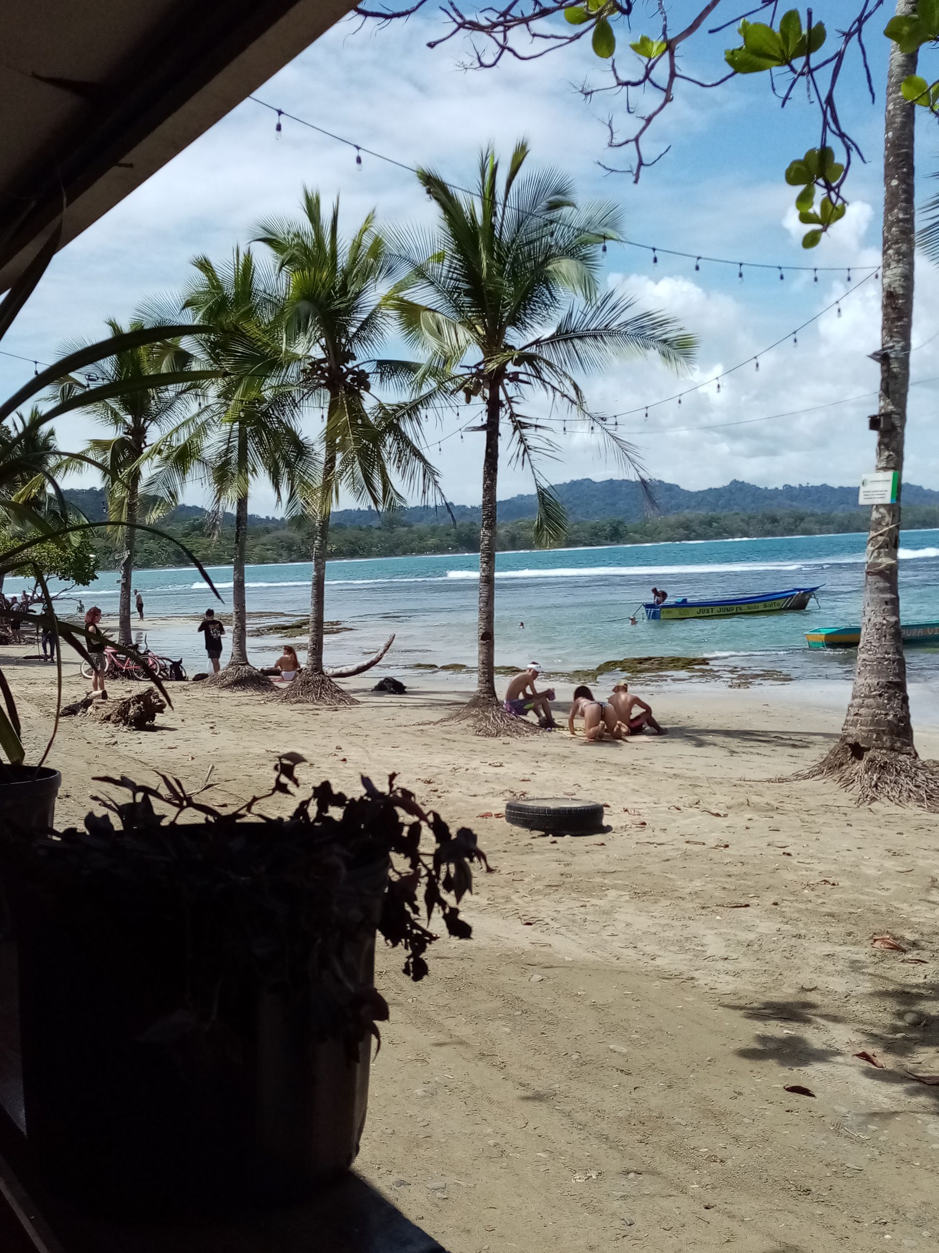 Sandy beach with palm trees, ocean, blue sky. People relax by the water.