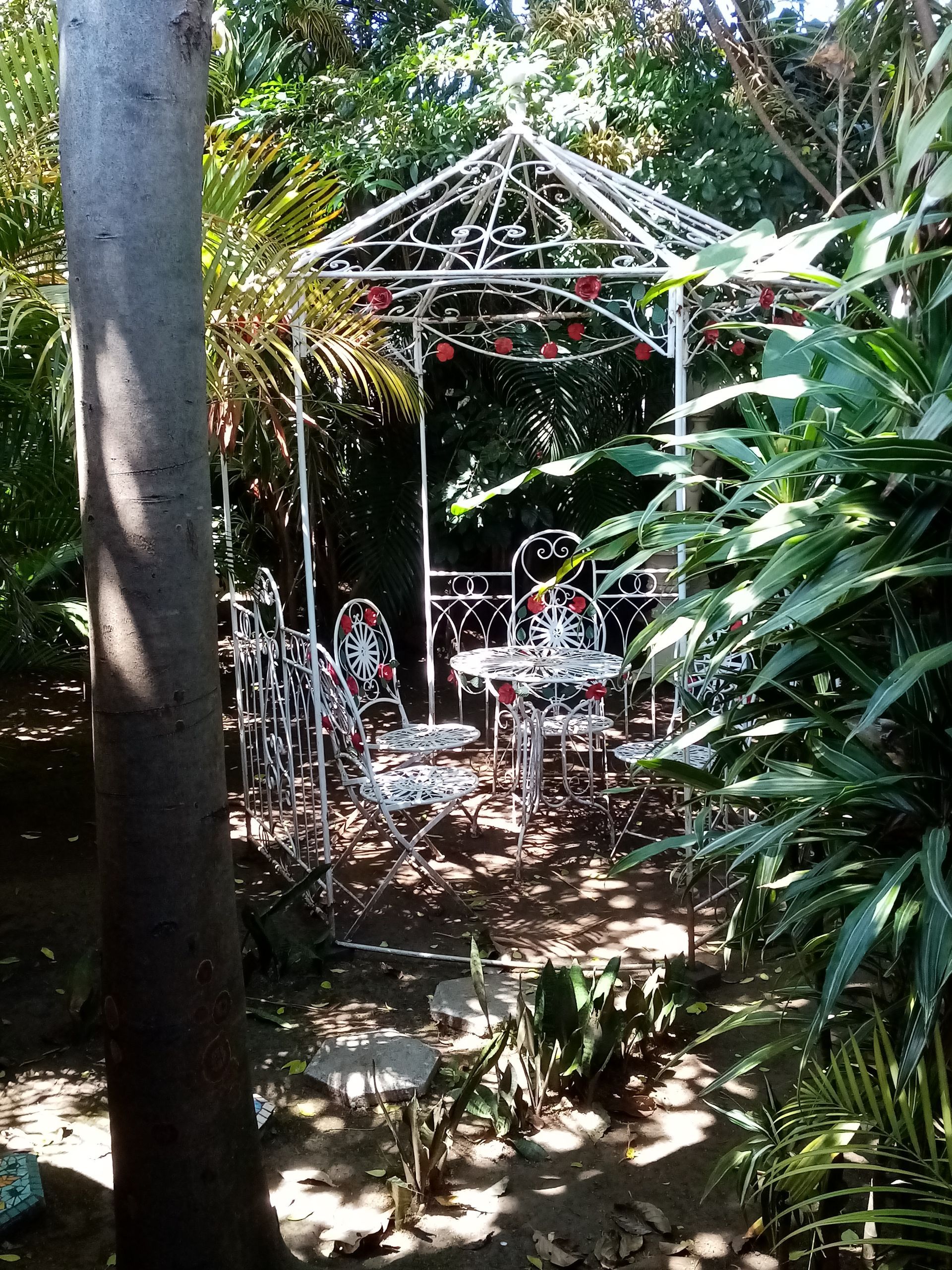 White wrought-iron gazebo with table and chairs in a garden setting, surrounded by lush green foliage.