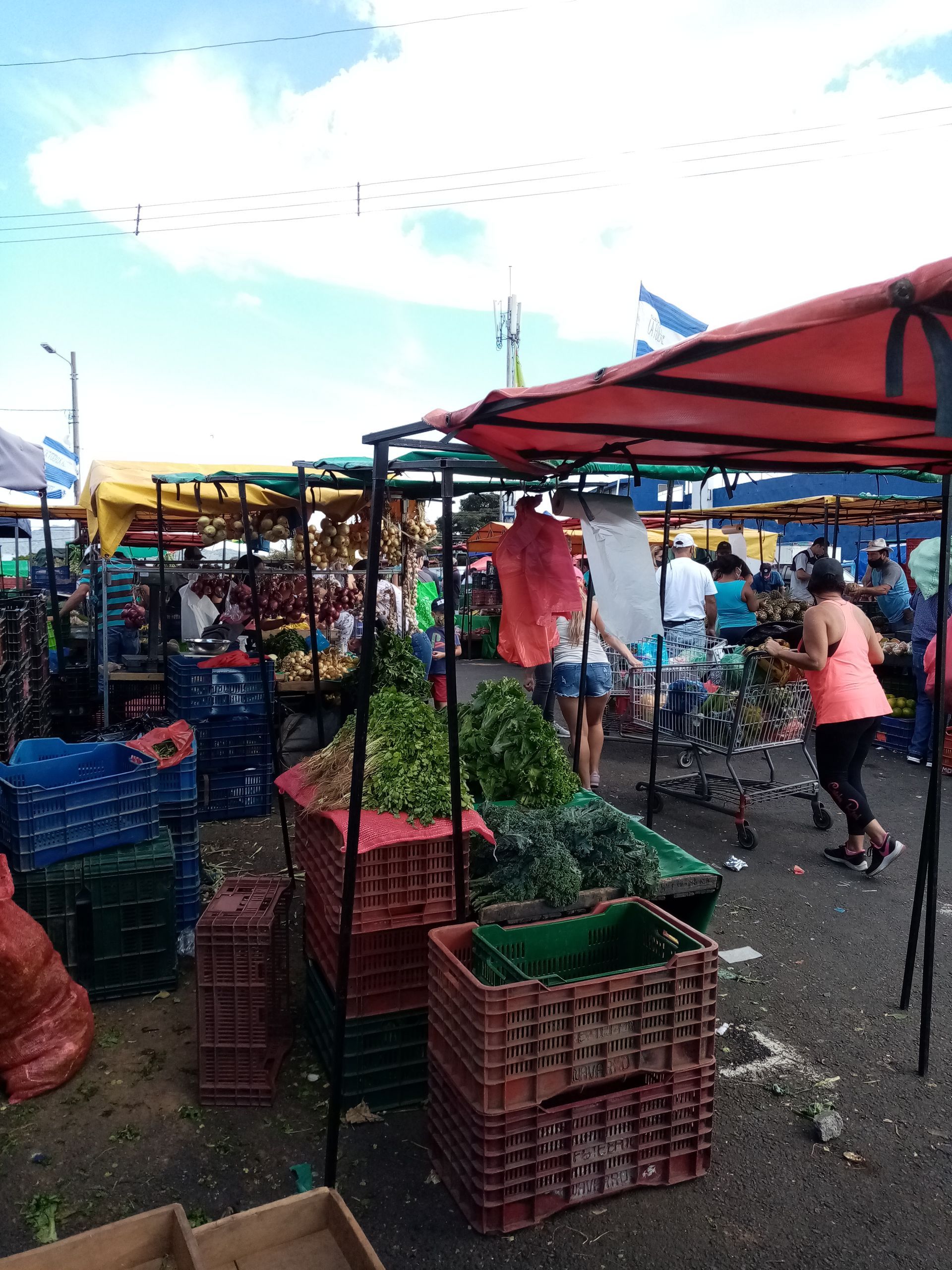 Outdoor market with produce in crates, people browsing under red and yellow awnings.