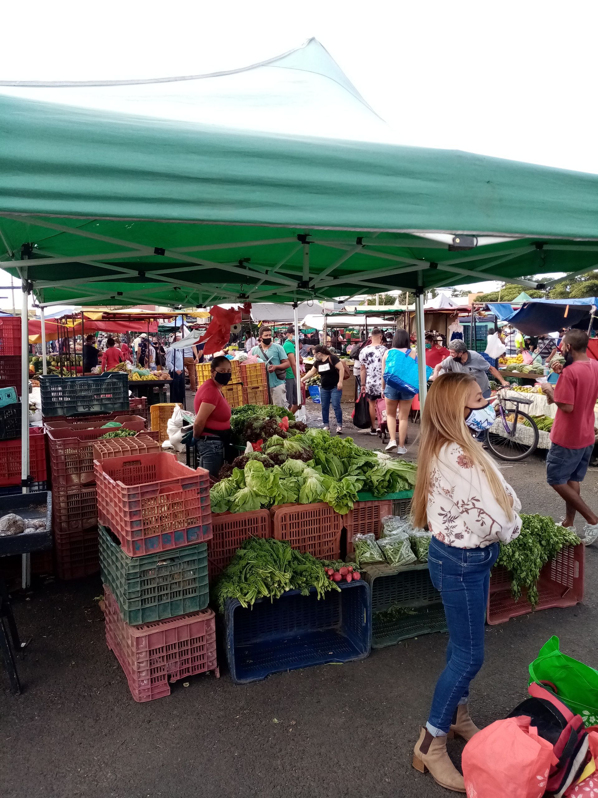 A farmer's market with produce displayed in crates under green canopies; people browse and shop.