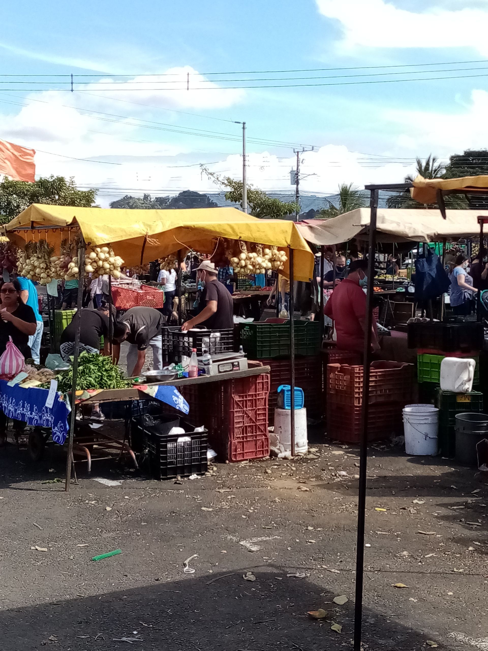 Outdoor market scene: vendors under yellow canopies, selling produce. People shopping on a sunny day.