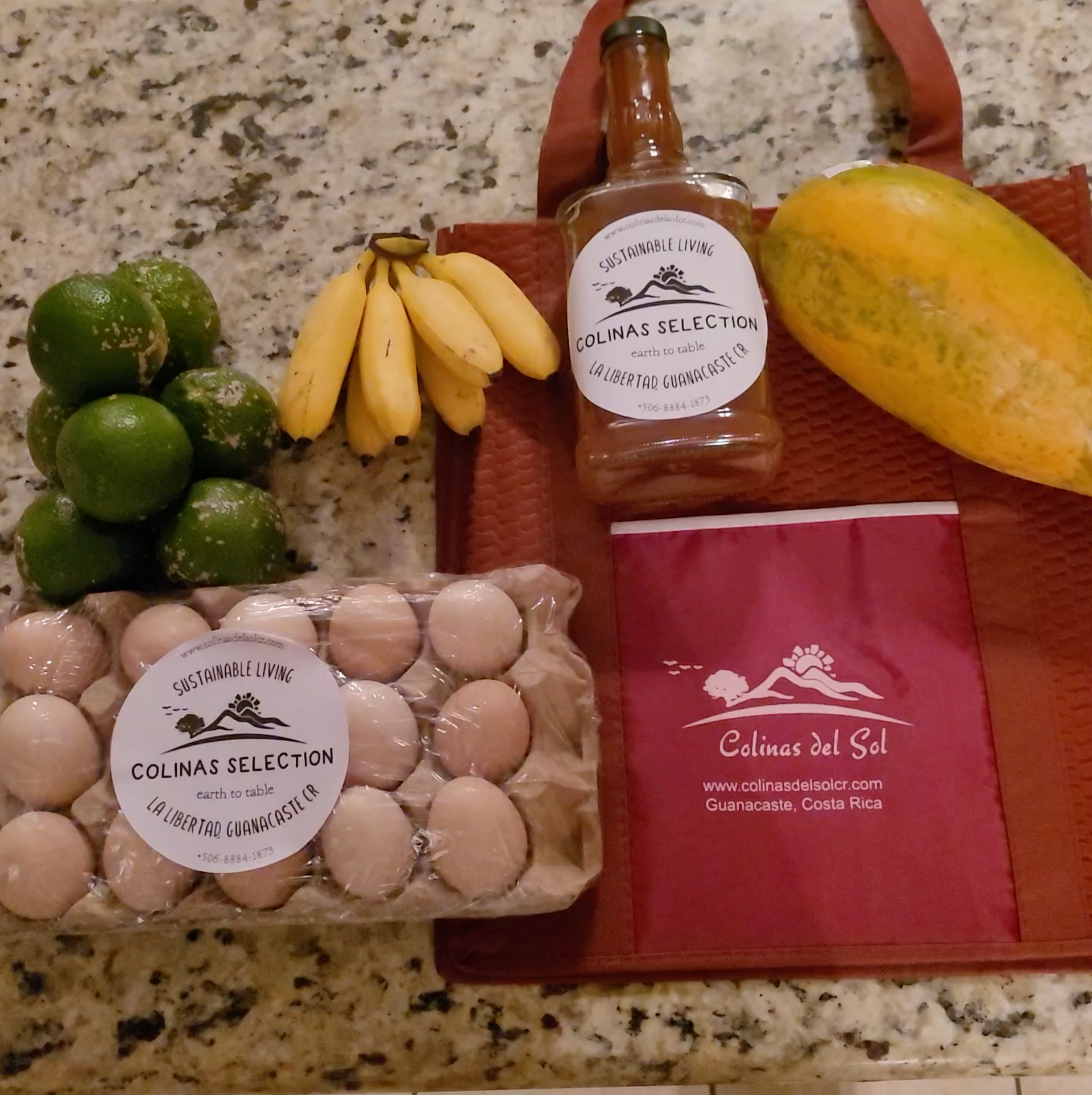 Groceries: limes, bananas, papaya, eggs, bottle, and insulated bag.
