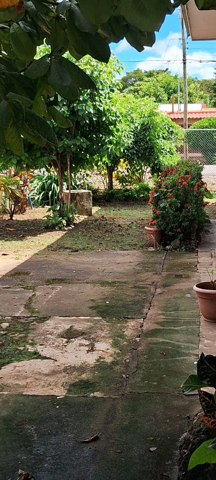A concrete pathway leads to a garden with trees and shrubs.