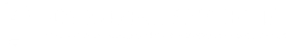 Modern Energy Solutions