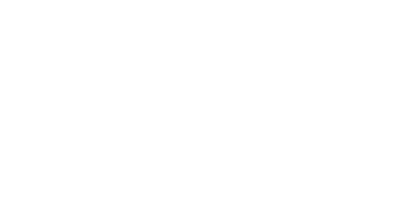 Ninja Zone