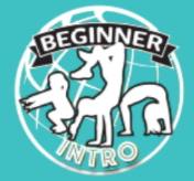 Preschool Gymnastics at Gravity Gymnastics