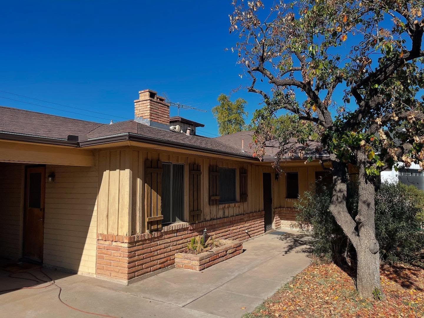 Single-story tan house with brick accents, a front walkway, and a tree in the yard under a blue sky