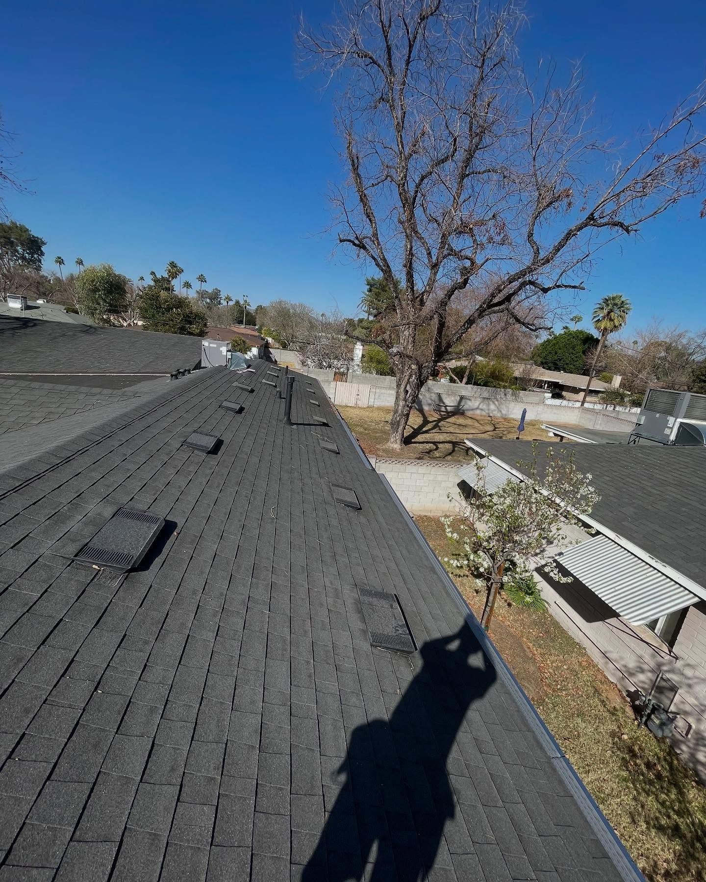 Rooftop with gray shingles and vents beside a leafless tree under a clear blue sky.