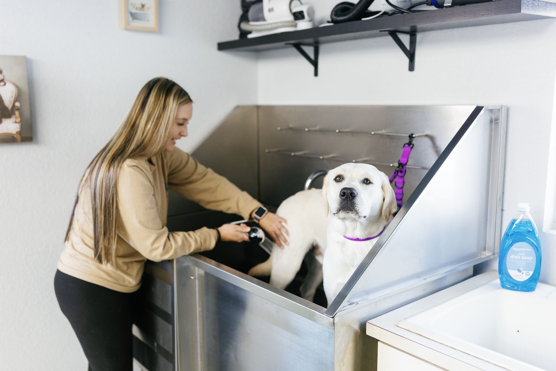 Woman washing a white dog in a stainless-steel pet grooming tub