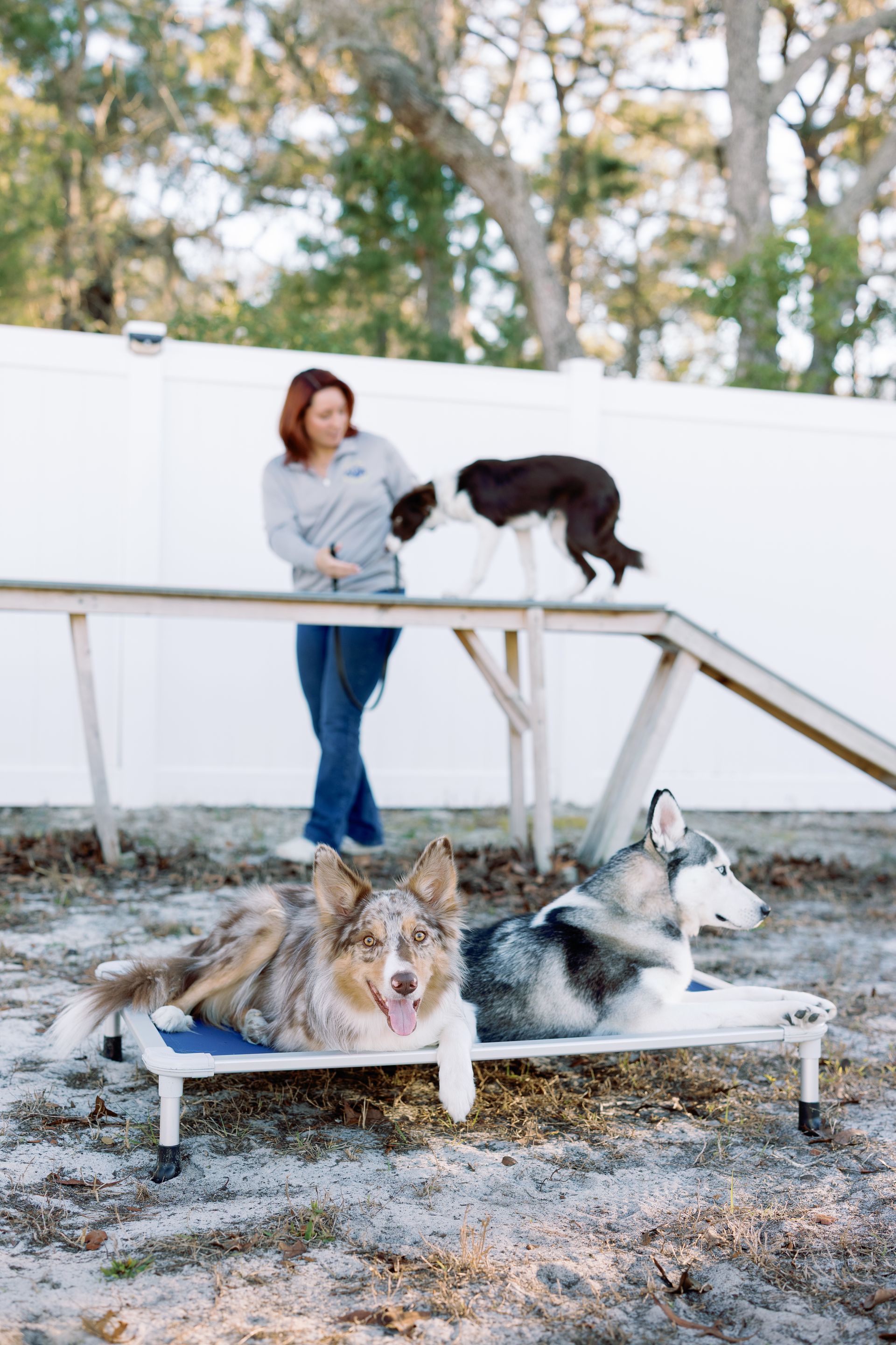 Woman with three dogs on a raised platform outdoors, in a frosty yard.