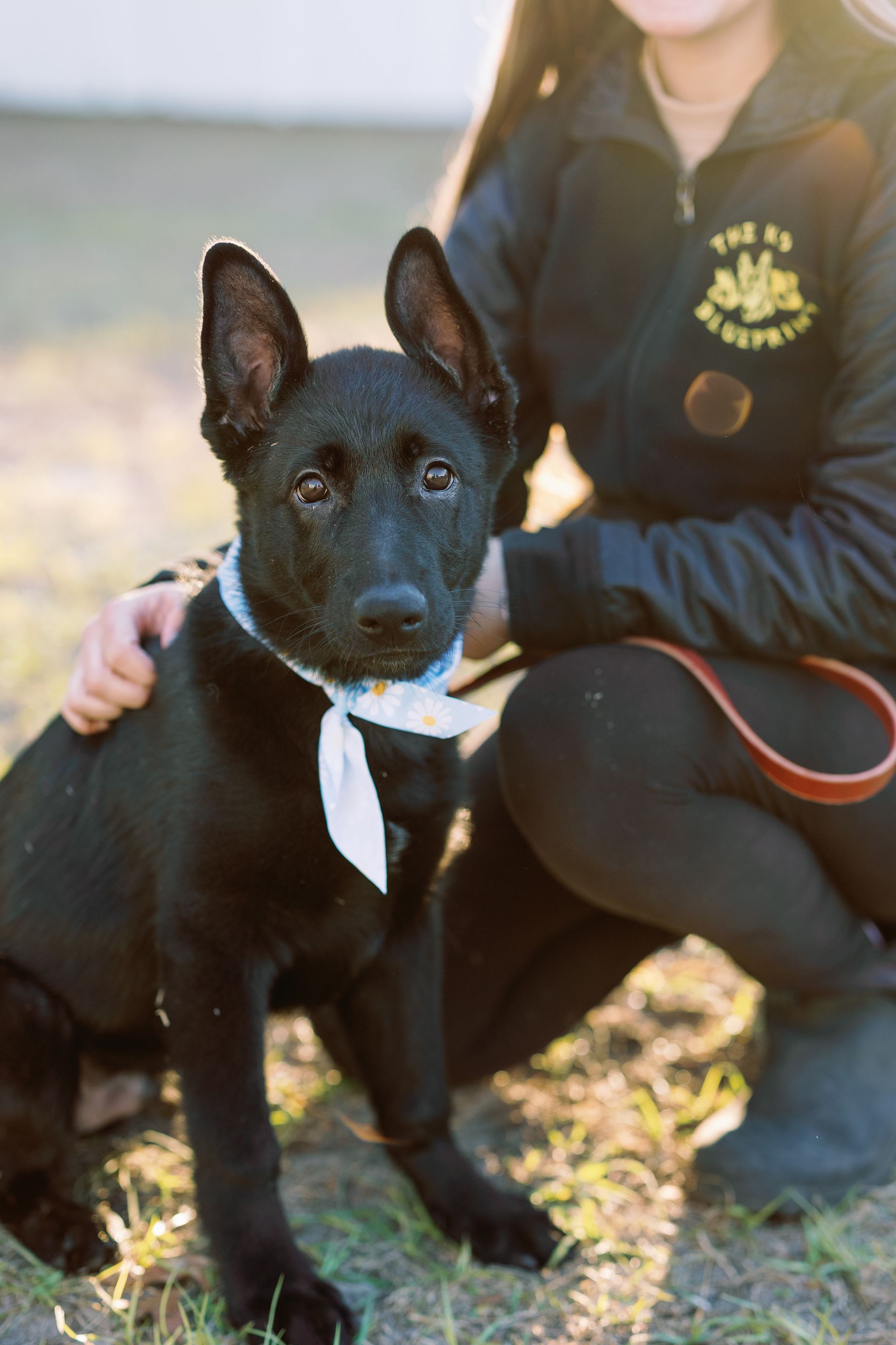 Black dog with white bandana sitting beside a person in a black sweatshirt outdoors.
