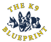 the k9 blueprint logo