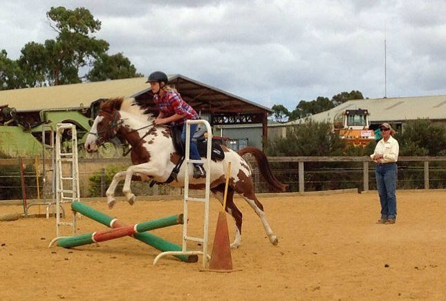 rider and horse jumping jumps in the outdoor arena