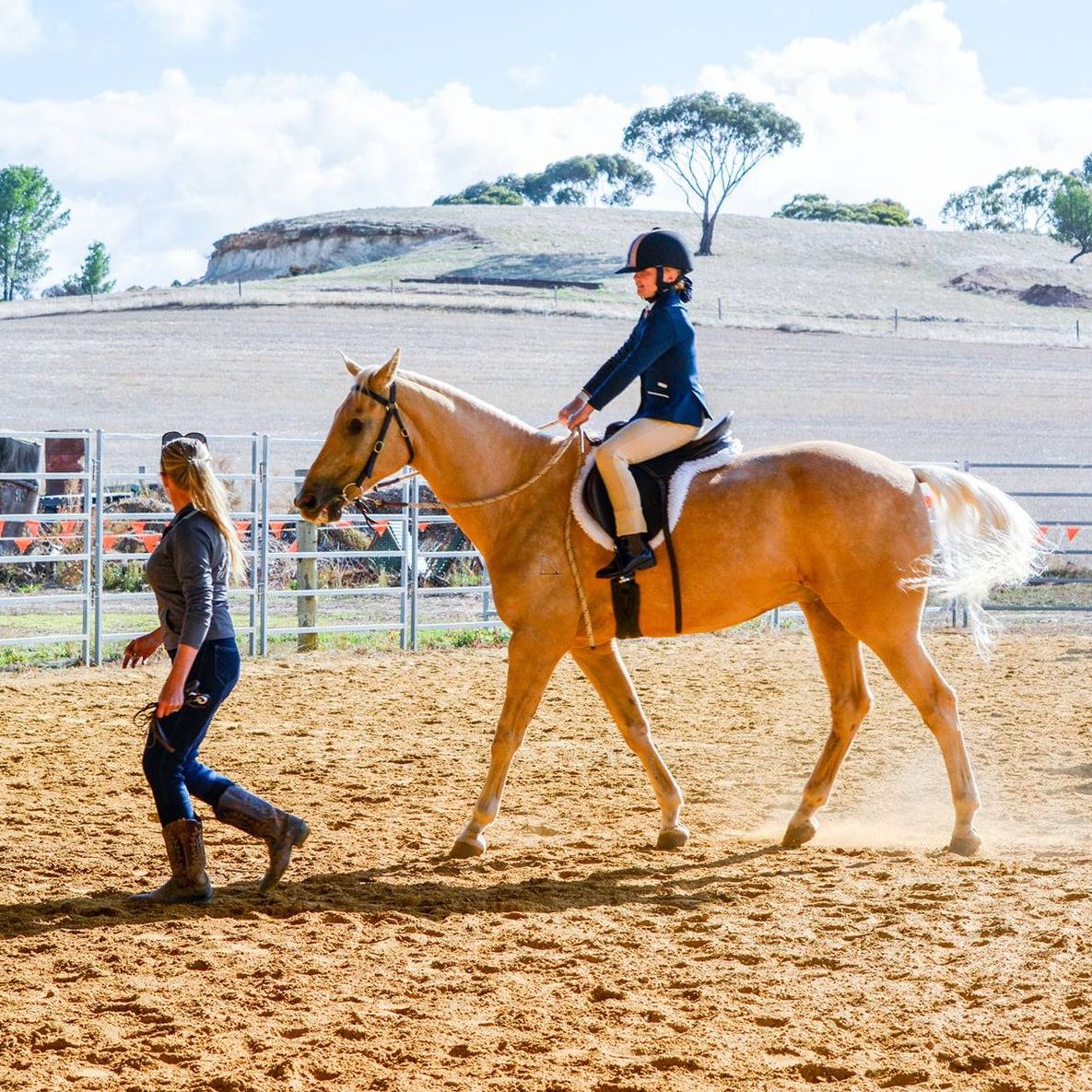 student on horse back preparing for dressage