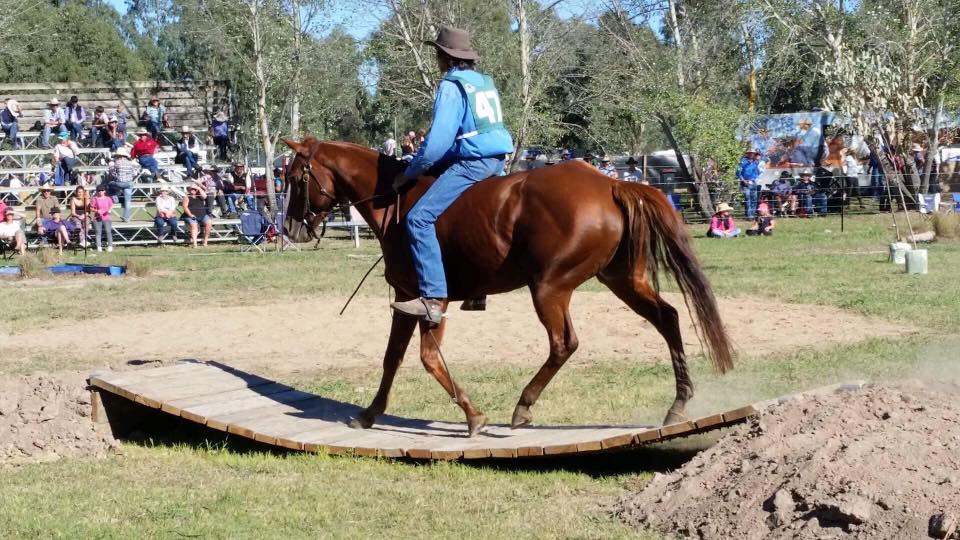 rider on horse back through an obstacle course