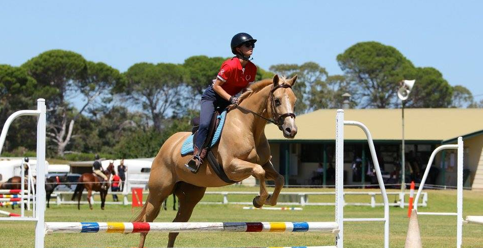 show jumping