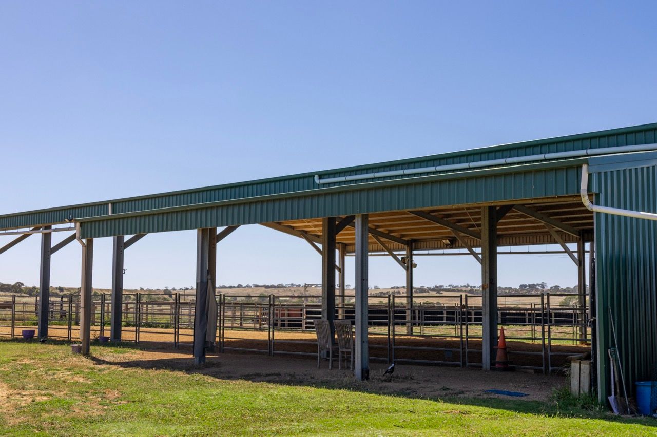 the covered arena