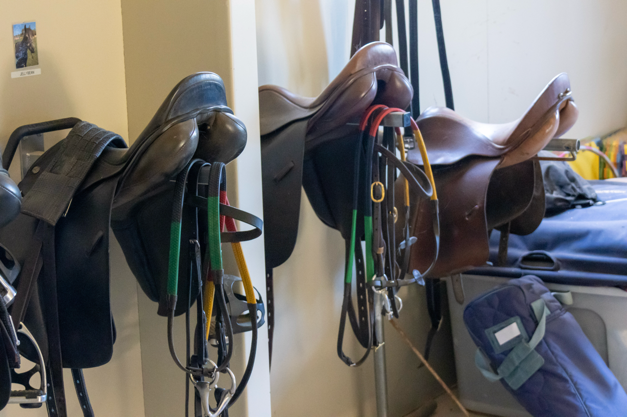 saddles in the tack room